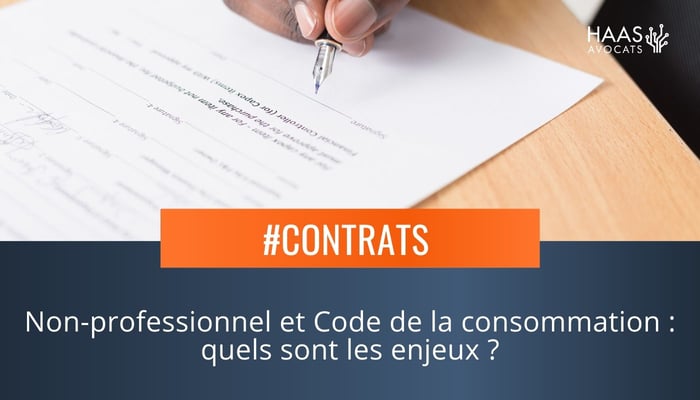 La Qualite De Non Professionnel Des Personnes Morales-1
